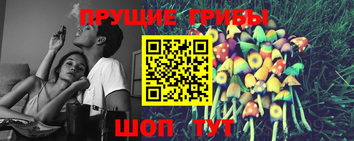 Псилоцибиновые грибы мухоморы  закладка  Вход с VPN  Усть-Джегута  Псилоцибиновые грибы Psilocybine cubensis 